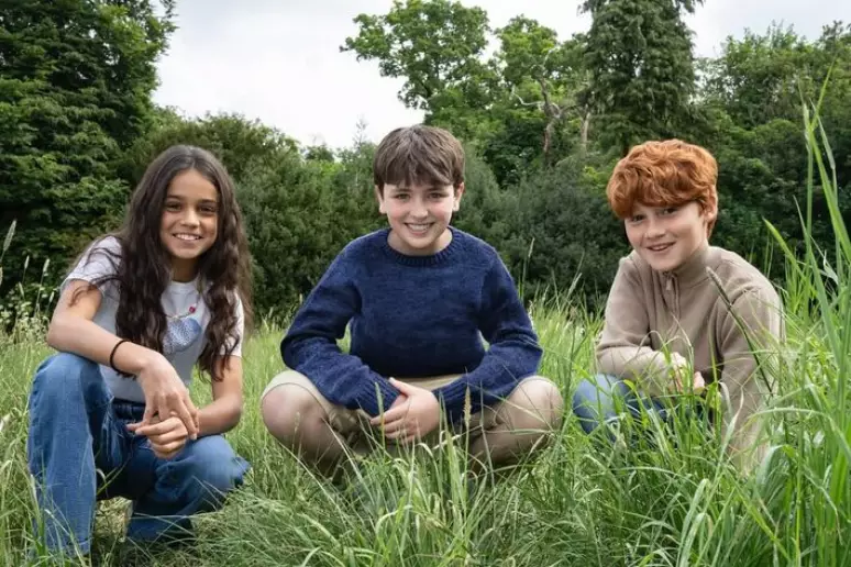 Série Harry Potter